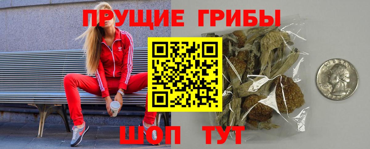 Зима  Псилоцибиновые грибы Cubensis  Вход с VPN 