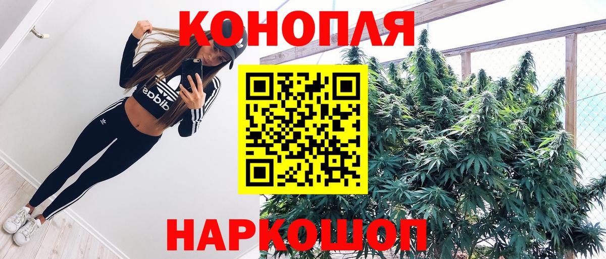 Марихуана планчик  Бошки Шишки план  Вход с VPN  Конопля план  Зима 